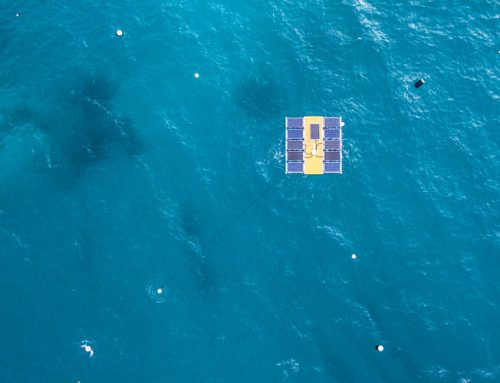 SolarSea® 4000 – Offshore floating solar, Maldives