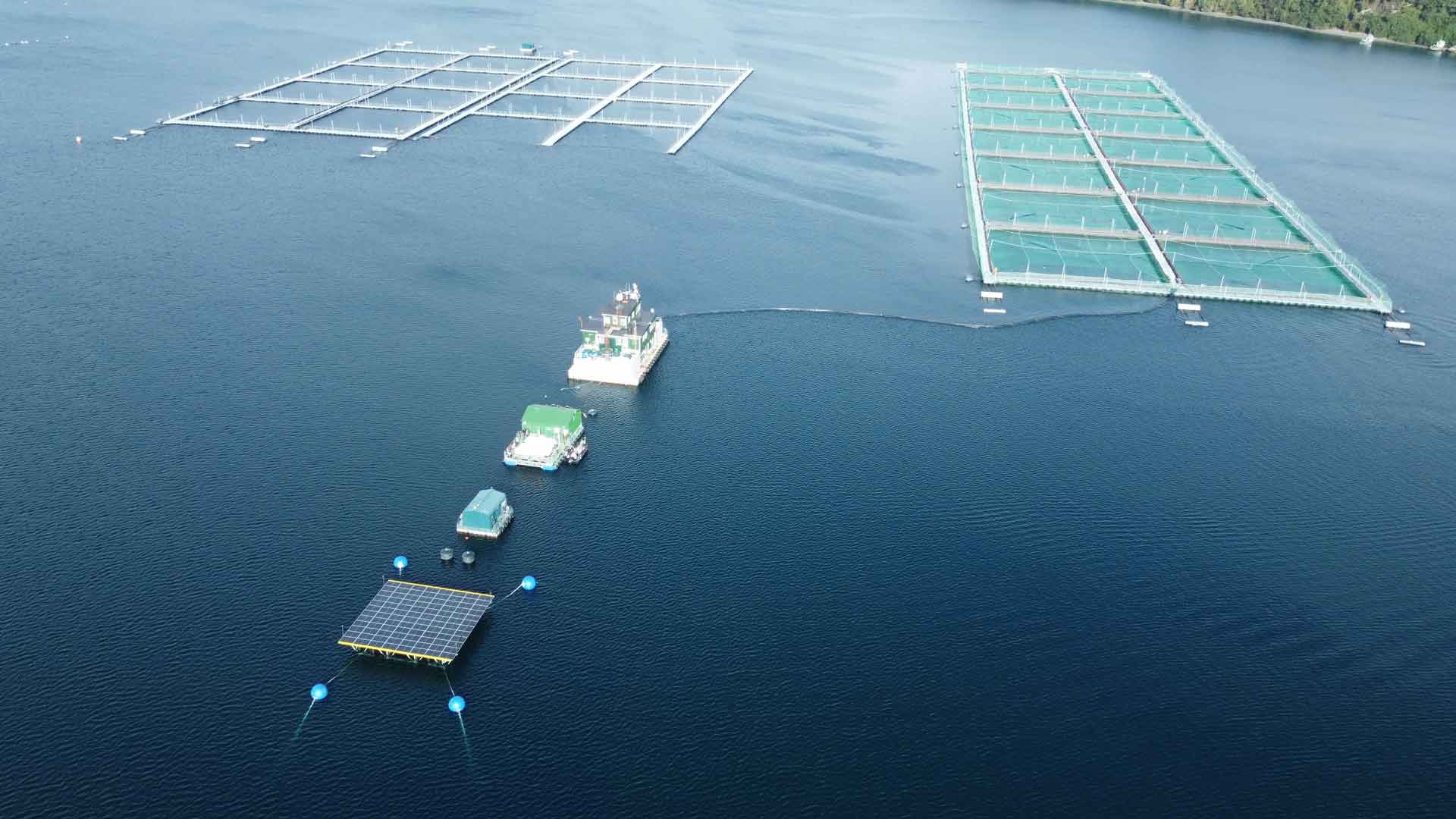Floating solar panels at sea by Swimsol powering a fish farm in Chile