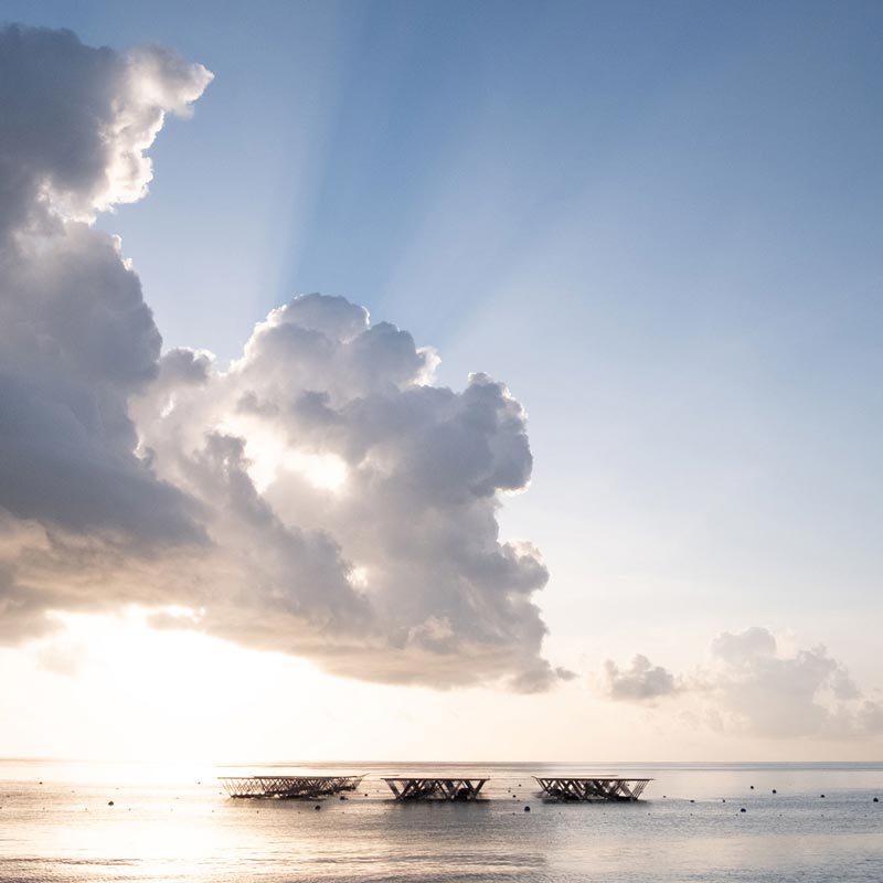 Solarsea installation during a sunset in the Maldives