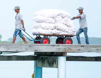 Swimsol staff transporting equipment