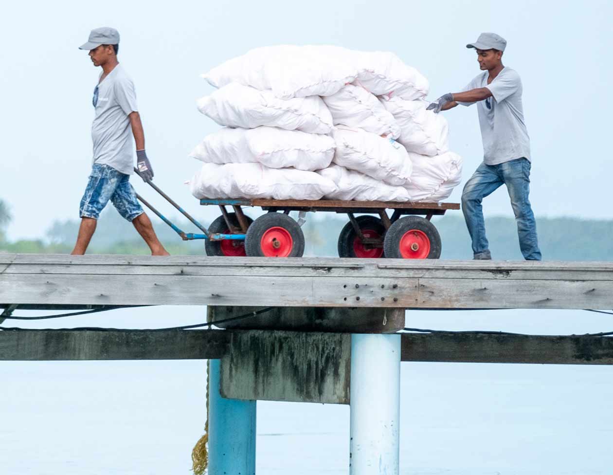 Swimsol staff transporting equipment