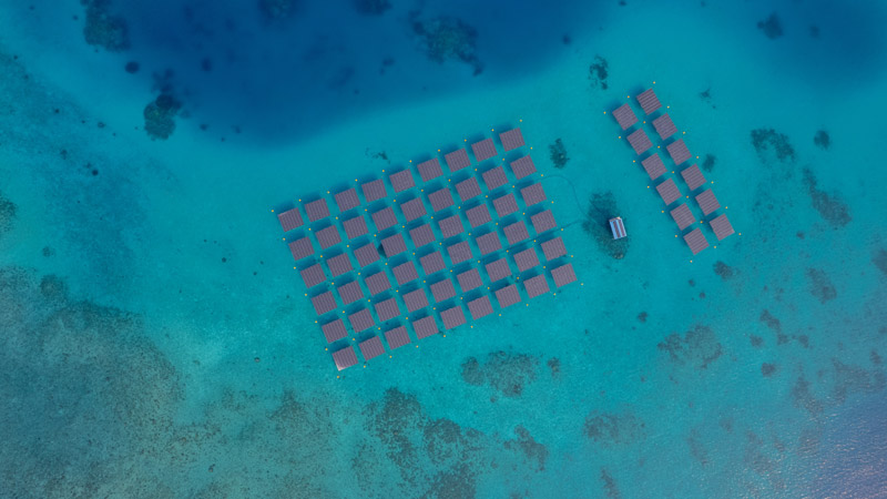 SolarSea platforms in Maldivian lagoon