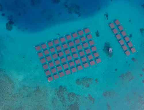 Cheval Blanc Randheli, Noonu Atoll, Maldives